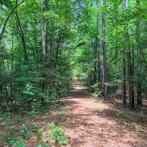 Photo #28 of 9013 Southampton Pkwy, Drewryville, VA 17.5 acres