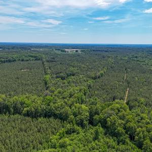 Photo #4 of 9013 Southampton Pkwy, Drewryville, VA 17.5 acres