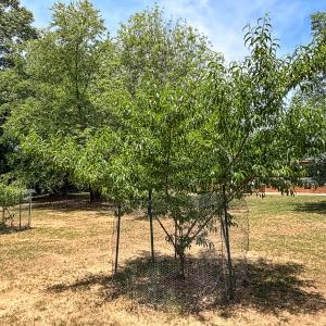 Photo #48 of 9013 Southampton Pkwy, Drewryville, VA 17.5 acres