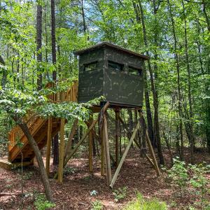 Photo #67 of 9013 Southampton Pkwy, Drewryville, VA 17.5 acres
