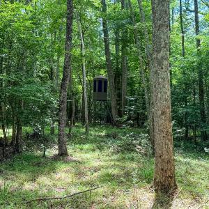 Photo #71 of 9013 Southampton Pkwy, Drewryville, VA 17.5 acres