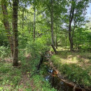 Photo #72 of 9013 Southampton Pkwy, Drewryville, VA 17.5 acres