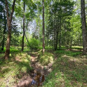 Photo #73 of 9013 Southampton Pkwy, Drewryville, VA 17.5 acres