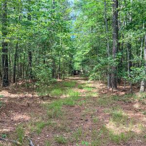 Photo #75 of 9013 Southampton Pkwy, Drewryville, VA 17.5 acres
