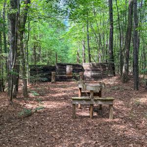 Photo #76 of 9013 Southampton Pkwy, Drewryville, VA 17.5 acres
