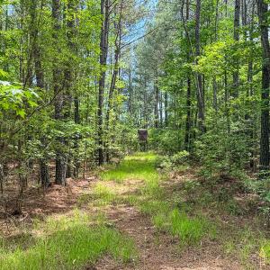Photo #77 of 9013 Southampton Pkwy, Drewryville, VA 17.5 acres