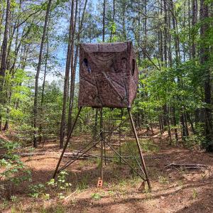Photo #78 of 9013 Southampton Pkwy, Drewryville, VA 17.5 acres