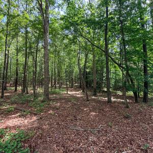 Photo #79 of 9013 Southampton Pkwy, Drewryville, VA 17.5 acres