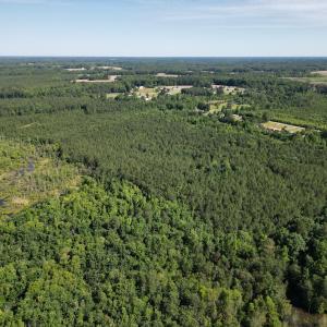 Photo #10 of Off of Heathsville RD, Enfield, NC 37.2 acres