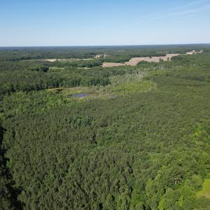 Photo #3 of Off of Heathsville RD, Enfield, NC 37.2 acres