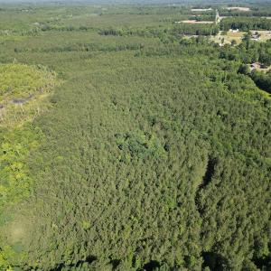 Photo #4 of Off of Heathsville RD, Enfield, NC 37.2 acres