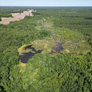 Photo #5 of Off of Heathsville RD, Enfield, NC 37.2 acres