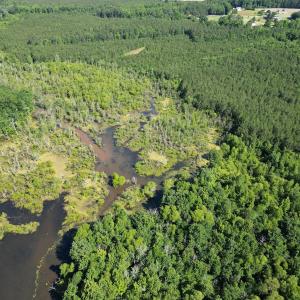 Photo #6 of Off of Heathsville RD, Enfield, NC 37.2 acres