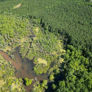 Photo #7 of Off of Heathsville RD, Enfield, NC 37.2 acres