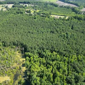 Photo #8 of Off of Heathsville RD, Enfield, NC 37.2 acres