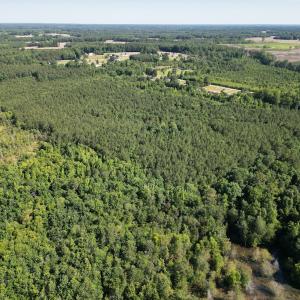 Photo #9 of Off of Heathsville RD, Enfield, NC 37.2 acres