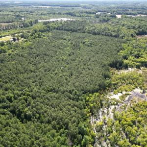 Photo #11 of Off of Heathsville RD, Enfield, NC 37.2 acres
