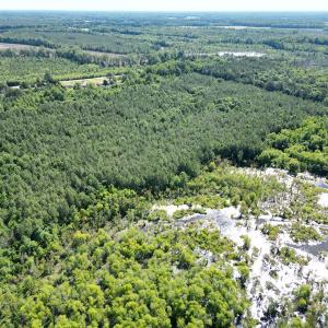 Photo #13 of Off of Heathsville RD, Enfield, NC 37.2 acres