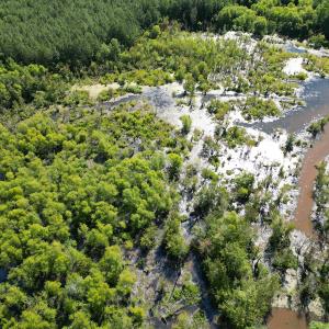 Photo #14 of Off of Heathsville RD, Enfield, NC 37.2 acres