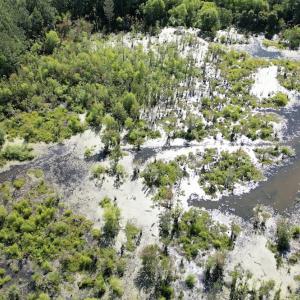 Photo #15 of Off of Heathsville RD, Enfield, NC 37.2 acres