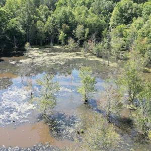 Photo #16 of Off of Heathsville RD, Enfield, NC 37.2 acres