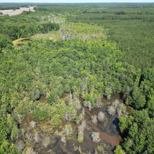 Photo #17 of Off of Heathsville RD, Enfield, NC 37.2 acres