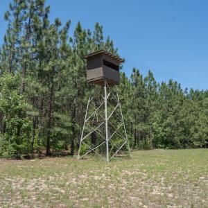 Photo #23 of Off NC 42, Tarboro, NC 39.7 acres
