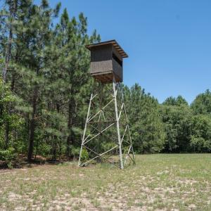 Photo #24 of Off NC 42, Tarboro, NC 39.7 acres
