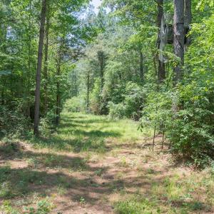 Photo #26 of Off NC 42, Tarboro, NC 39.7 acres