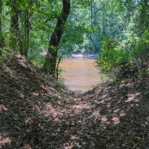 Photo #29 of Off NC 42, Tarboro, NC 39.7 acres