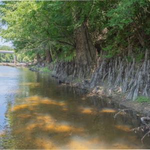 Photo #32 of Off NC 42, Tarboro, NC 39.7 acres