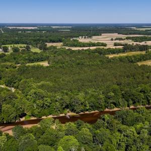 Photo #40 of Off NC 42, Tarboro, NC 39.7 acres