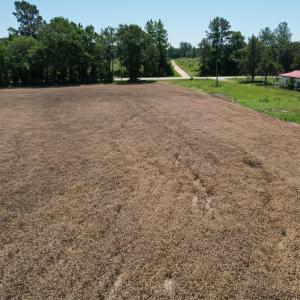 Photo #14 of Off of Barker Ten Mile Rd, Lumberton, NC 0.5 acres