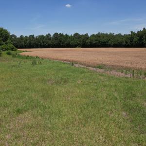 Photo #2 of Off of Barker Ten Mile Rd, Lumberton, NC 0.5 acres