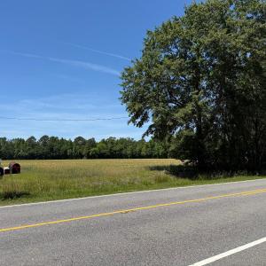 Photo #21 of Off of Barker Ten Mile Rd, Lumberton, NC 0.5 acres