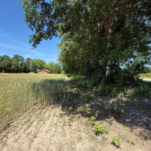 Photo #24 of Off of Barker Ten Mile Rd, Lumberton, NC 0.5 acres