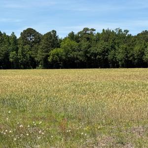 Photo #25 of Off of Barker Ten Mile Rd, Lumberton, NC 0.5 acres