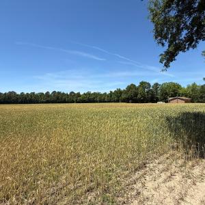 Photo #6 of Off of Barker Ten Mile Rd, Lumberton, NC 0.5 acres