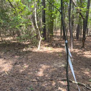 Photo #14 of Off Mt Pleasant Church Road, Manson, NC 12.6 acres