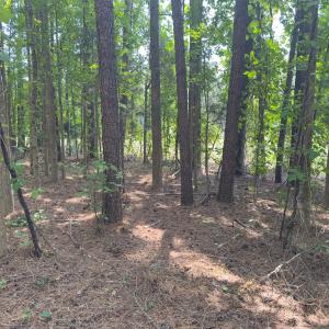 Photo #17 of Off Mt Pleasant Church Road, Manson, NC 12.6 acres