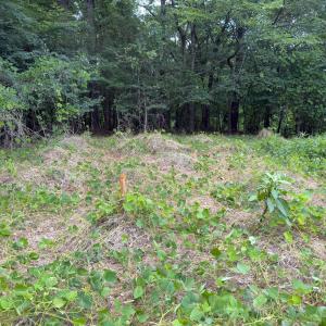 Photo #20 of Off Mt Pleasant Church Road, Manson, NC 12.6 acres