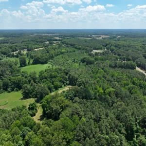 Photo #23 of Off Mt Pleasant Church Road, Manson, NC 12.6 acres