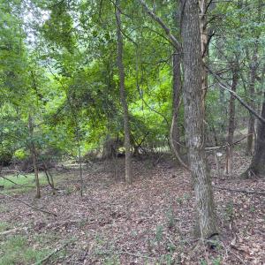 Photo #24 of Off Mt Pleasant Church Road, Manson, NC 12.6 acres