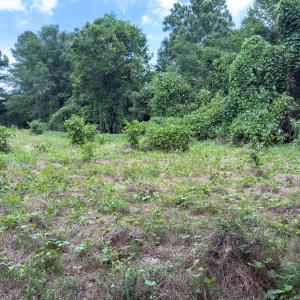 Photo #26 of Off Mt Pleasant Church Road, Manson, NC 12.6 acres