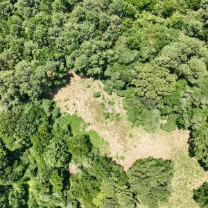 Photo #27 of Off Mt Pleasant Church Road, Manson, NC 12.6 acres