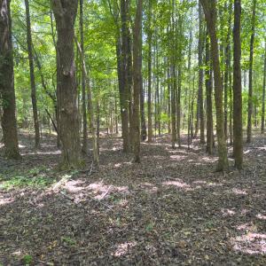 Photo #28 of Off Mt Pleasant Church Road, Manson, NC 12.6 acres