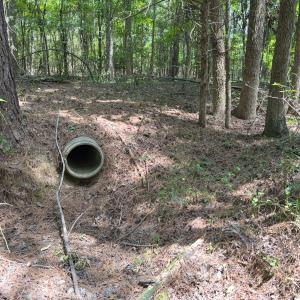 Photo #34 of Off Mt Pleasant Church Road, Manson, NC 12.6 acres