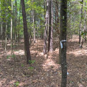 Photo #35 of Off Mt Pleasant Church Road, Manson, NC 12.6 acres