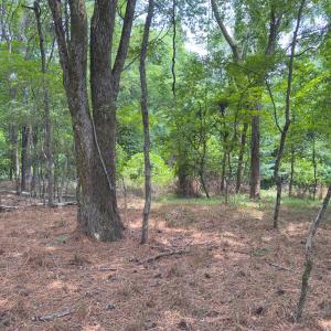 Photo #37 of Off Mt Pleasant Church Road, Manson, NC 12.6 acres
