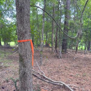 Photo #38 of Off Mt Pleasant Church Road, Manson, NC 12.6 acres